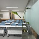 교육법인상상학원