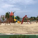 청초호유원지(남측) 이미지