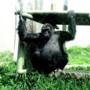 서울대공원 이미지