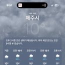 함덕오는날 | 제주 델문도 카페 후기 비 오는 날 더 좋은 함덕 해수욕장 바다뷰 카페
