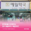 예일약국 이미지