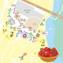 구미시 재활용품 전시판매장 | &#39;2025 부여세도 방울토마토 &amp; 유채꽃 축제&#39;