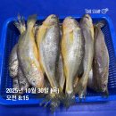 시세대비 강력추천// 목포참조기/ 3단덕자병어/30미 덕자병어/활쭈꾸미 판매합니다 이미지