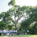 도깨비트래블 - 7914 | 도깨비트래블
