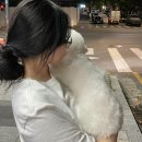 안경이랑콘택트by아이피아 이미지