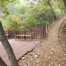 생거진천치유의숲 네이버블로그