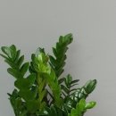 에이원당구클럽 이미지