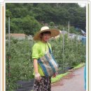 신현2리 마을회관 이미지