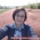 오뚜기공인중개사사무소 이미지