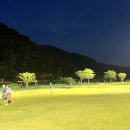 청도군-7 대경일보