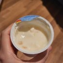 수에트리 | [이탈리아 남부] 뚜벅이 2인조 4일차 | 폼페이 유적, 아말피 해안 비에트리술마레, 에어비앤비 숙소