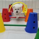 뚱이하우스 이미지