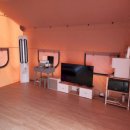 도그펠리스 이미지