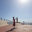 추자대물민박 이미지