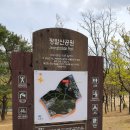 정발산 도당굿 | 일산 가볼만한 곳 정발산공원: 벚꽃 만개했던 탁 트인 전망의 평심루