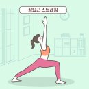 허리 통증 예방에 도움 되는 스트레칭 이미지