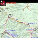 사다리나라