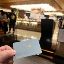 프리미어 피트니스 | 더 플라자 프리미어에서 플라자 스위트 룸 업그레이드 후기 1편(룸 컨디션, 피트니스, 사우나, 수영장)