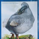 도도(DoDo)