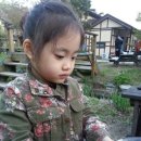 초아목장 이미지