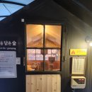 별을 담은 숲 이미지