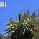 알로만농장 이미지