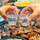 제주똥돼지 이미지