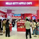 톰앤키티 이미지