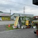 금광천막 이미지