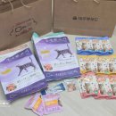 대주 | 궁디팡팡캣페스타서울 궁팡후기 대주펫푸드 캐츠랑 추천