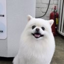 뽀독뽀독 이미지