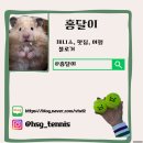 고산오네여(고산ONAIR) | [ 팀홀튼 ] 팀홀튼 한국 론칭 1주년 이벤트 커피 마시고 캐나다항공권과 미니쿠페받자 !