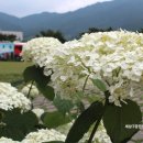 법인소백산자락길 이미지