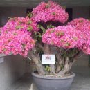 행정사감병기사무소 이미지