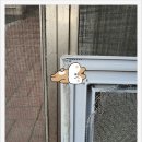 성서보람타운 이미지