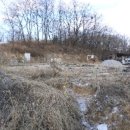 여주주유소 이미지