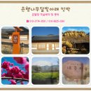 은행나무 펜션 이미지