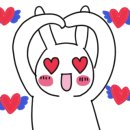 영진회센타 네이버블로그