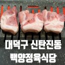 대전백양 이미지