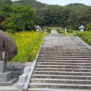 구룡폭포길 이미지