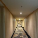 Delta Hotel | [라스베가스] 골든 너겟 호텔 Golden Nugget Hotel 1박 숙박 후기