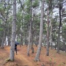 삼성현역사문화공원 이미지