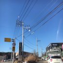 카페훈트 | 화성 봉담 훈트 유기견입양카페 평일방문후기 동탄 근교 강아지 HUND