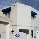 제주조천물고기 네이버블로그