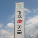 [경주]대릉원앞 진한콩국의 "경주 콩국" 이미지