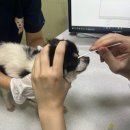 미르아이병원 이미지