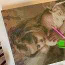 하이오 수영광안점 이미지