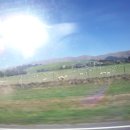 대평원목장 이미지