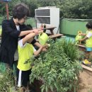 중랑환경 이미지