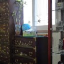 우리네식당 이미지